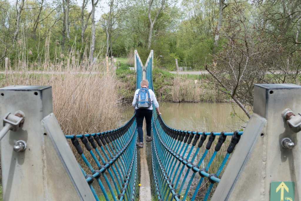kustpadzeewsvl_085.jpg