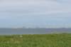 kustpadzeewsvl_088_small.jpg