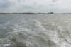 kustpadzeewsvl_096_small.jpg