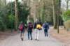 groeneveld_002_small.jpg