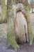 groeneveld_005_small.jpg