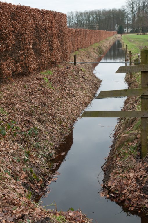 groeneveld_006.jpg