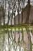 groeneveld_013_small.jpg