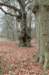 groeneveld_016_small.jpg