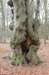 groeneveld_017_small.jpg