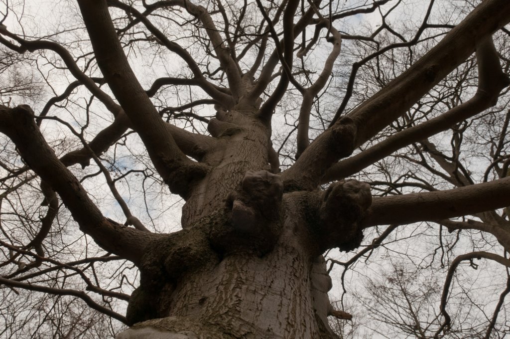 groeneveld_018.jpg