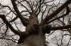 groeneveld_018_small.jpg