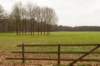 groeneveld_019_small.jpg