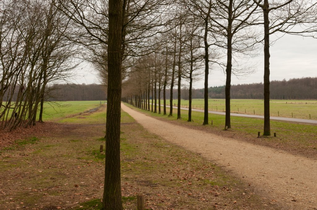 groeneveld_020.jpg