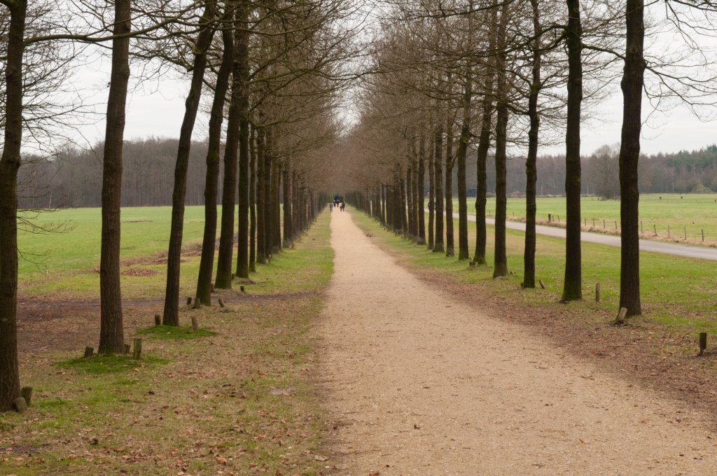 groeneveld_021.jpg