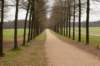 groeneveld_021_small.jpg