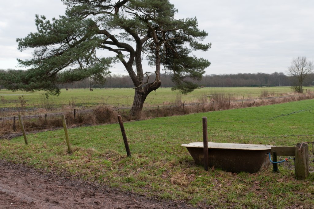 groeneveld_023.jpg