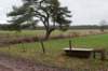 groeneveld_023_small.jpg