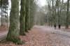 groeneveld_024_small.jpg