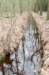 groeneveld_025_small.jpg