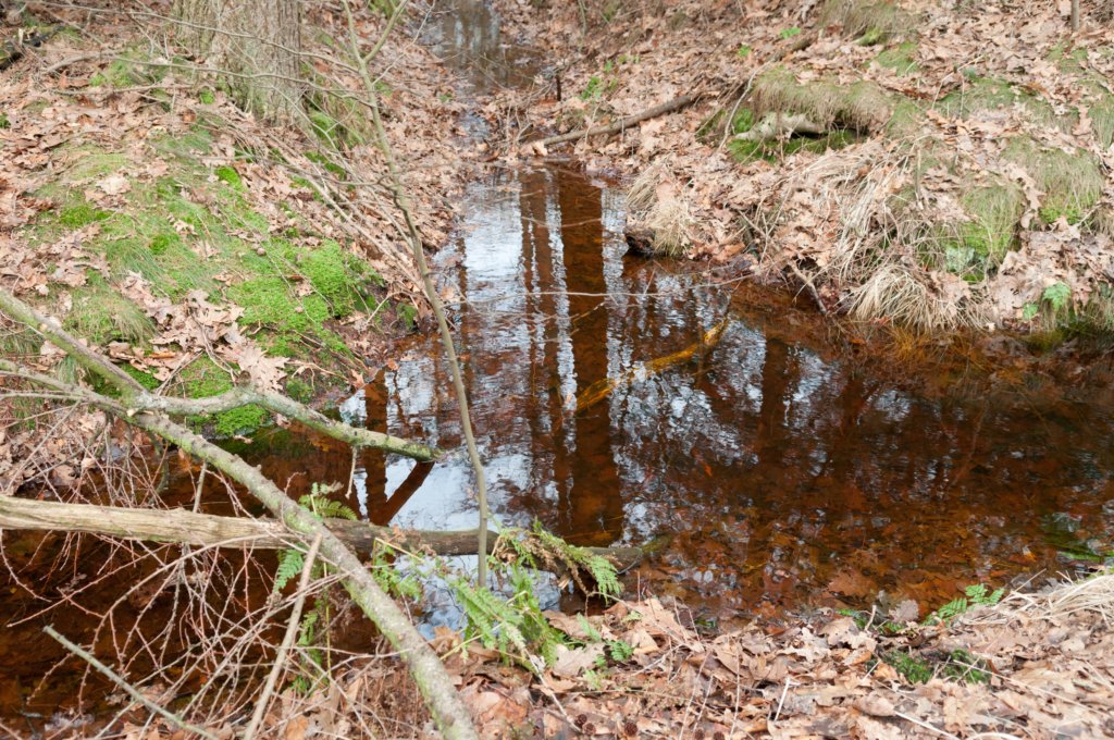 groeneveld_026.jpg