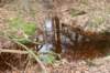 groeneveld_026_small.jpg
