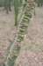 groeneveld_028_small.jpg