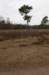 groeneveld_029_small.jpg