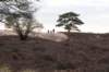 groeneveld_031_small.jpg