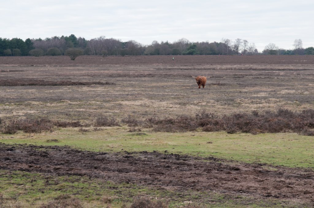 groeneveld_032.jpg