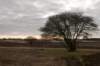 groeneveld_033_small.jpg