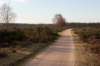 groeneveld_038_small.jpg
