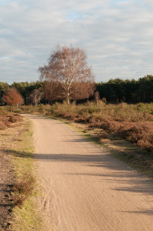 groeneveld_041.jpg
