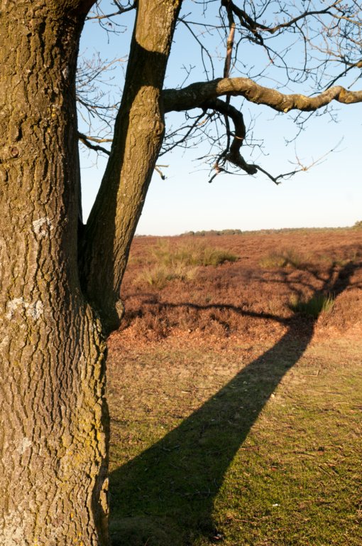 groeneveld_044.jpg
