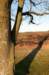 groeneveld_044_small.jpg