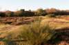 groeneveld_045_small.jpg