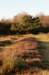 groeneveld_046_small.jpg