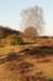 groeneveld_047_small.jpg