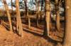 groeneveld_049_small.jpg