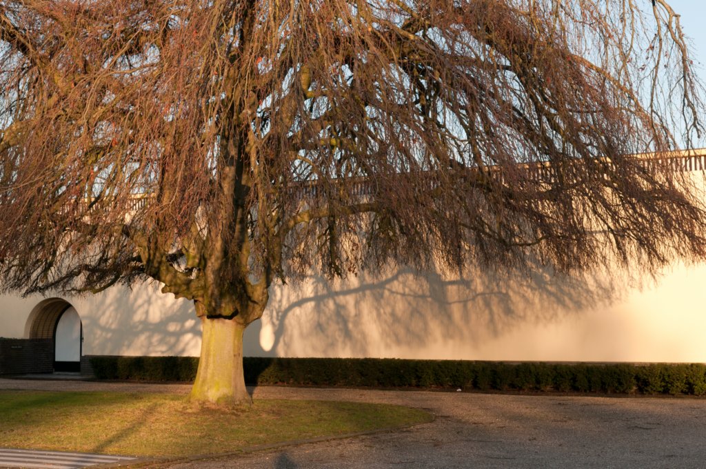 groeneveld_056.jpg
