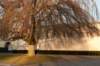 groeneveld_056_small.jpg