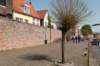 lingepracht_006_small.jpg