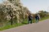 lingepracht_008_small.jpg
