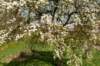 lingepracht_009_small.jpg