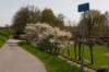 lingepracht_010_small.jpg