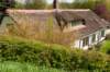 lingepracht_013_small.jpg