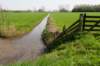 lingepracht_020_small.jpg