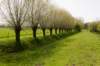 lingepracht_021_small.jpg