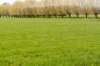 lingepracht_023_small.jpg