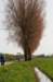 lingepracht_025_small.jpg