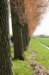 lingepracht_026_small.jpg
