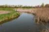 lingepracht_027_small.jpg