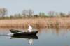 lingepracht_040_small.jpg