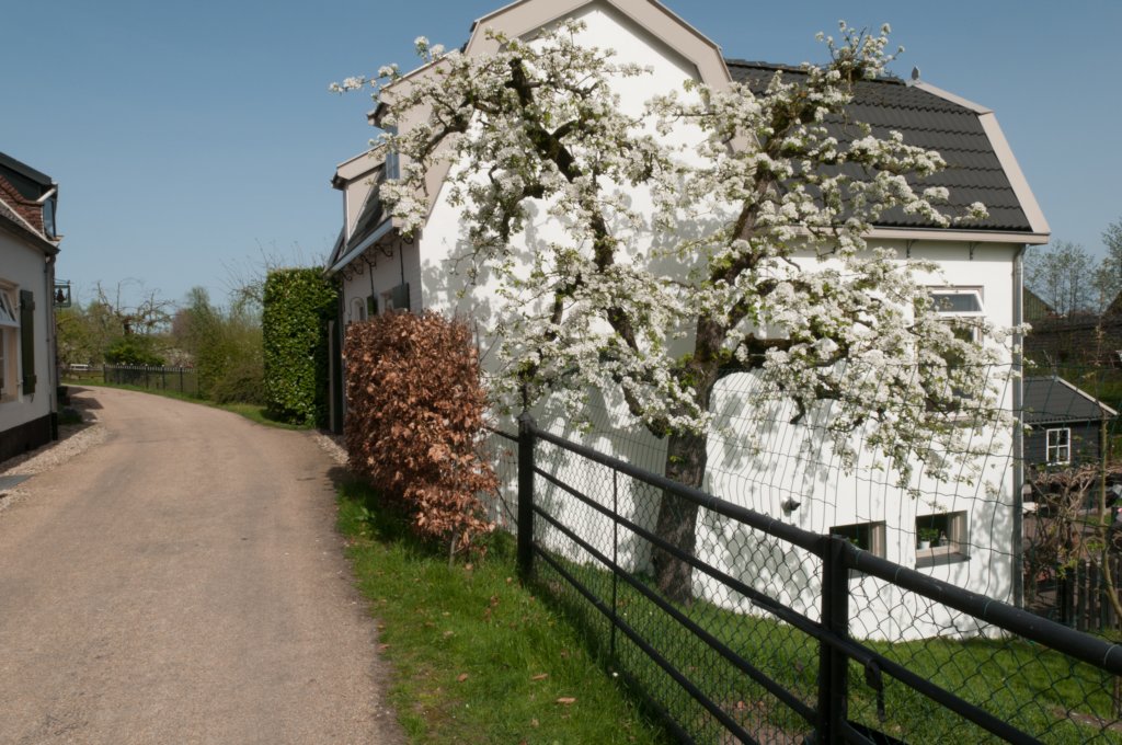 lingepracht_047.jpg