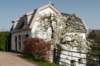 lingepracht_048_small.jpg
